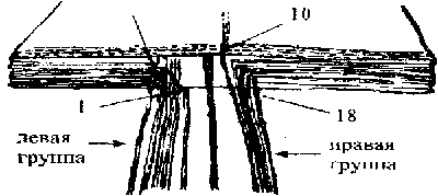 параплан запаска