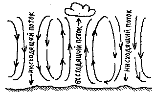 параплан