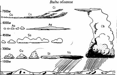 виды облаков