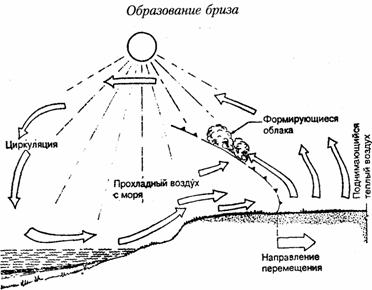 образование бриза