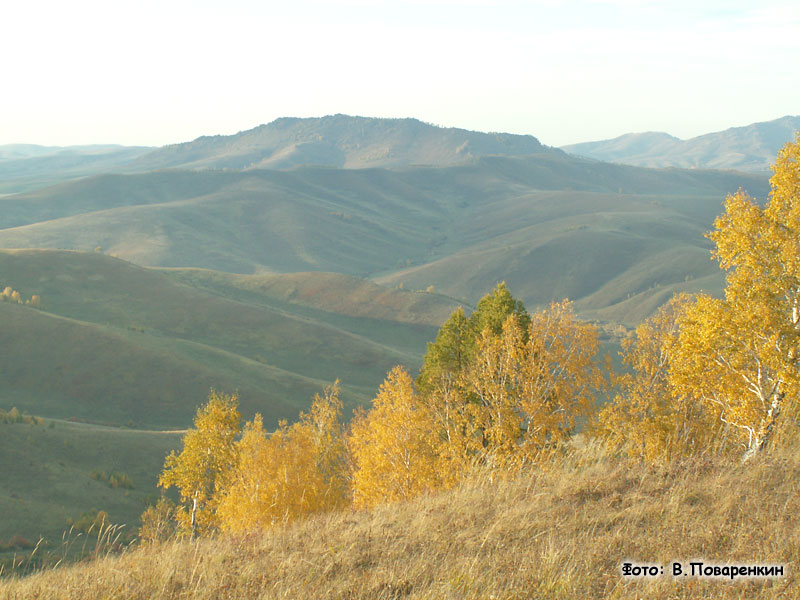 Новосибирск (Алтай 2006, Клуб "Вектор")