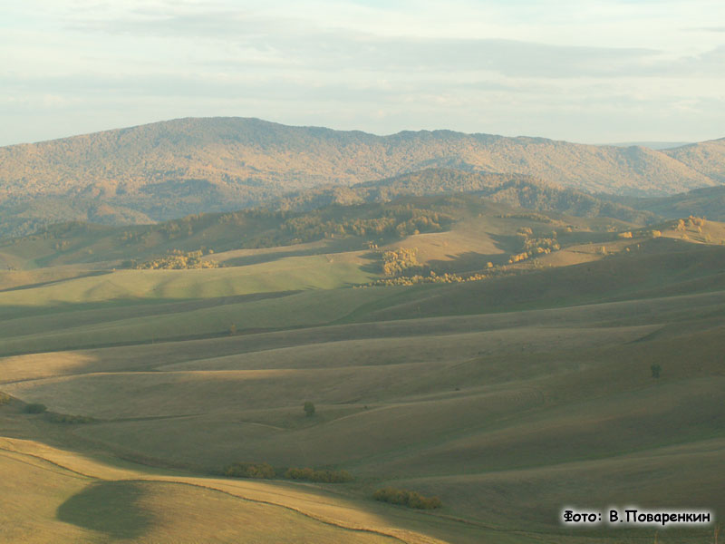 Новосибирск (Алтай 2006, Клуб "Вектор")