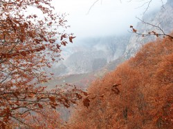 осень в горах